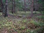 Lastningsområde